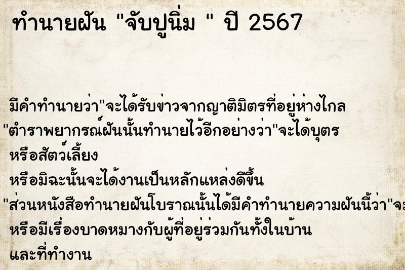 ทำนายฝันทำนายฝันจับปูนิ่ม